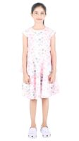 Floral Print Midi Dress, Cap Sleeve, Ruffle Detail, Blue with Pink Flowers