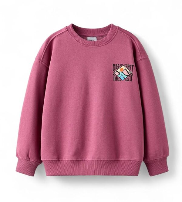 Boy's Oversized Sweatshirt | Stylish Printed Crew Neck Pullover for Kids | Age 6–16 Years